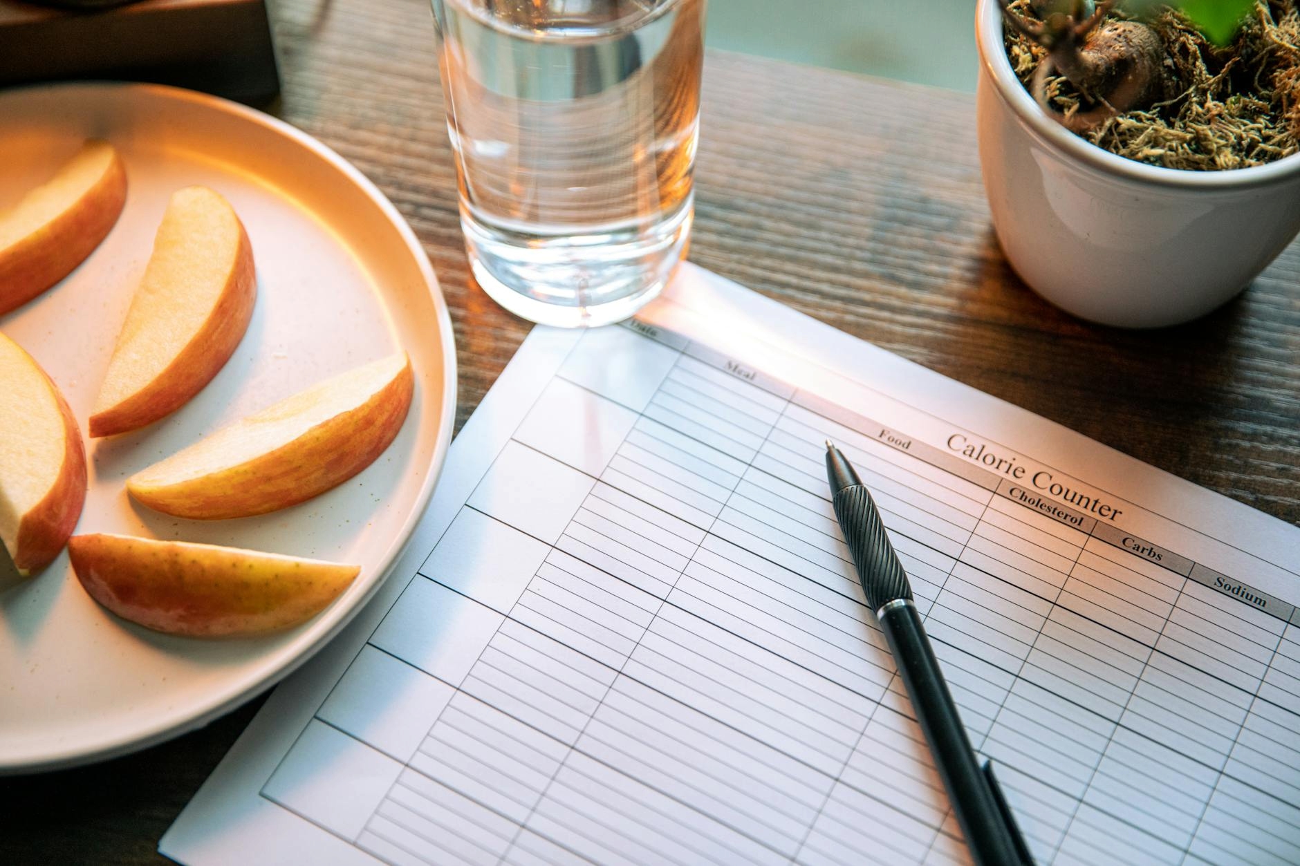 Travel hydration planning with water bottle and map